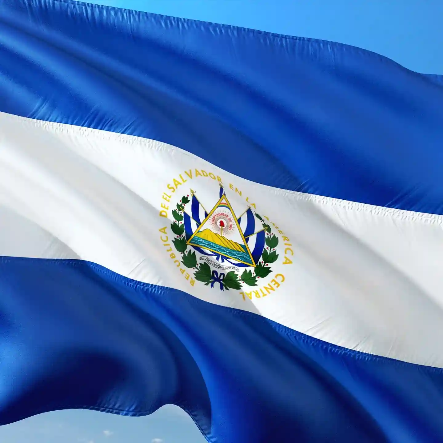 Encuestas-remuneradas-por-internet